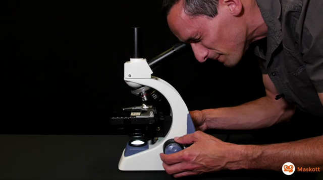 Microscope Omit Pod - Les 10 Erreurs À Ne Pas Faire Avec Un Micros…