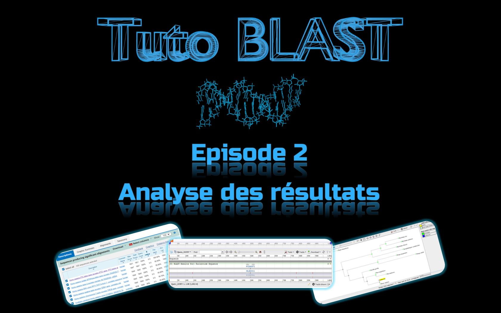 Tutoriel Ncbi-Blast - Épisode 2 : Analyse des résultats